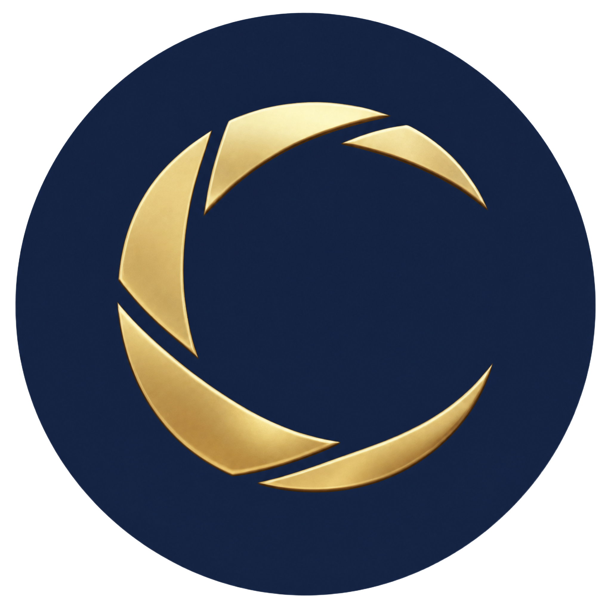 The Art of Braces Logo